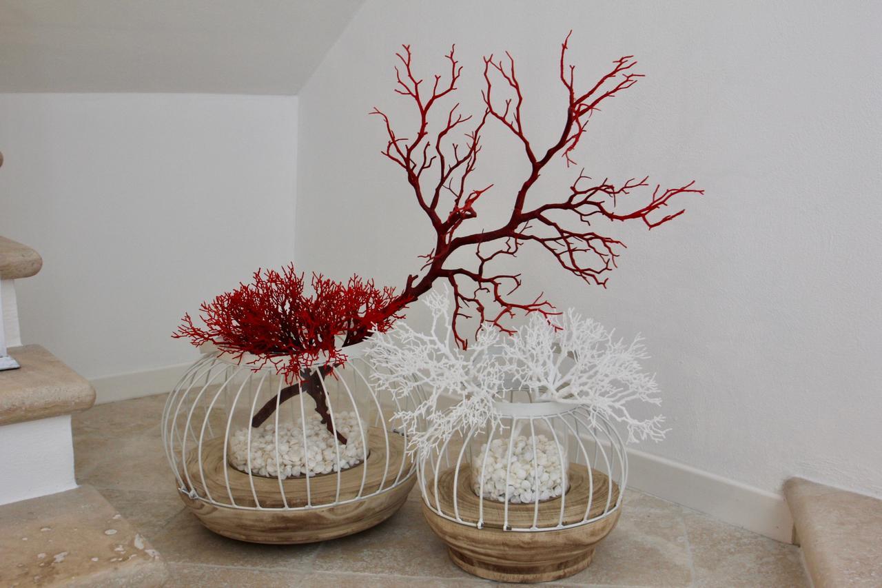 Townhouse Tropea Bed & Breakfast ภายนอก รูปภาพ